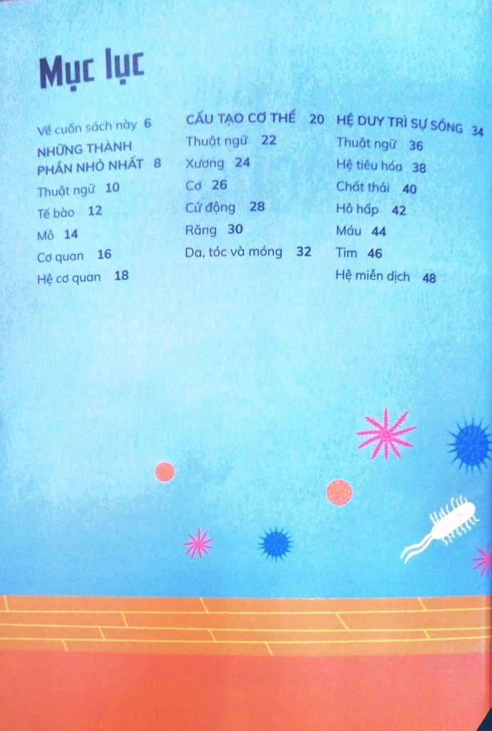 cơ thể người - trong 30 giây - Ảnh 3