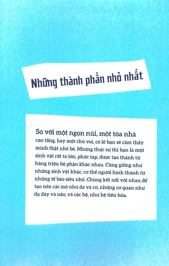 cơ thể người - trong 30 giây - Ảnh 5