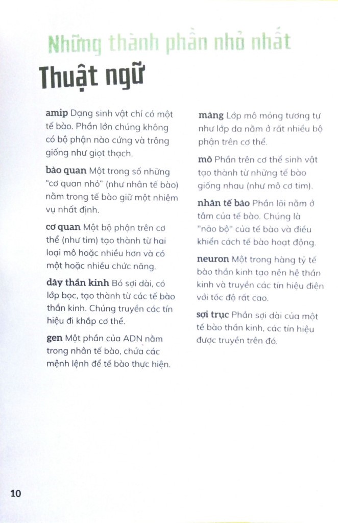 cơ thể người - trong 30 giây - Ảnh 6