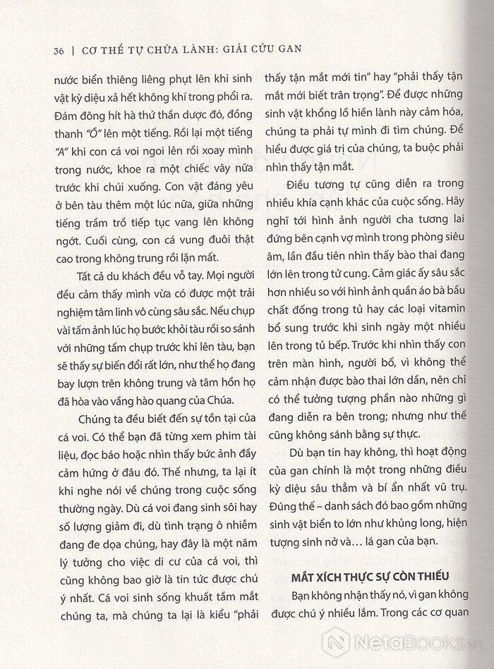 cơ thể tự chữa lành: giải cứu gan - Ảnh 7