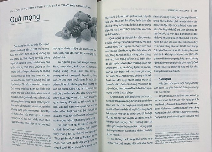 cơ thể tự chữa lành: thực phẩm thay đổi cuộc sống - Ảnh 3