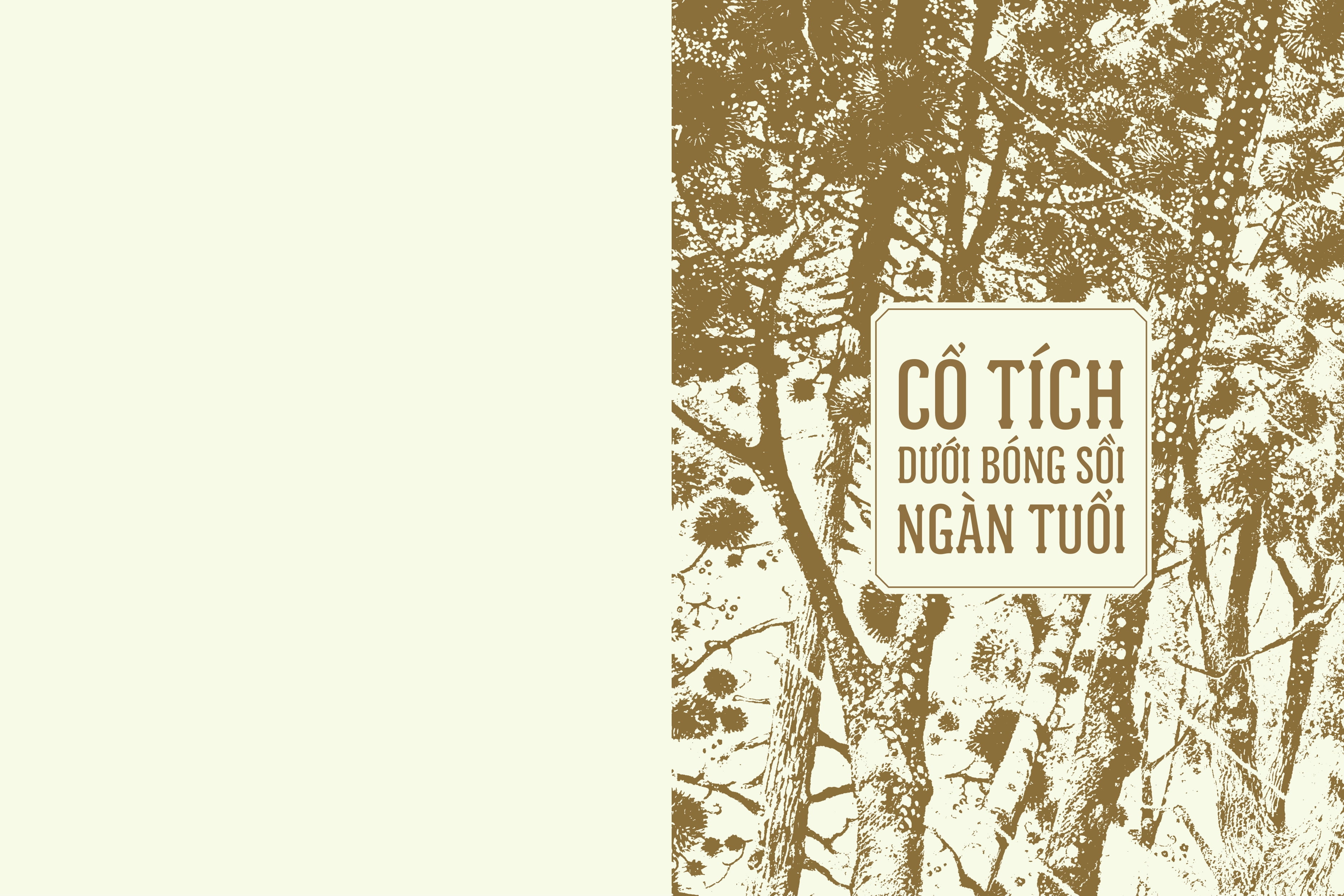 cổ tích dưới bóng sồi ngàn tuổi - Ảnh 3