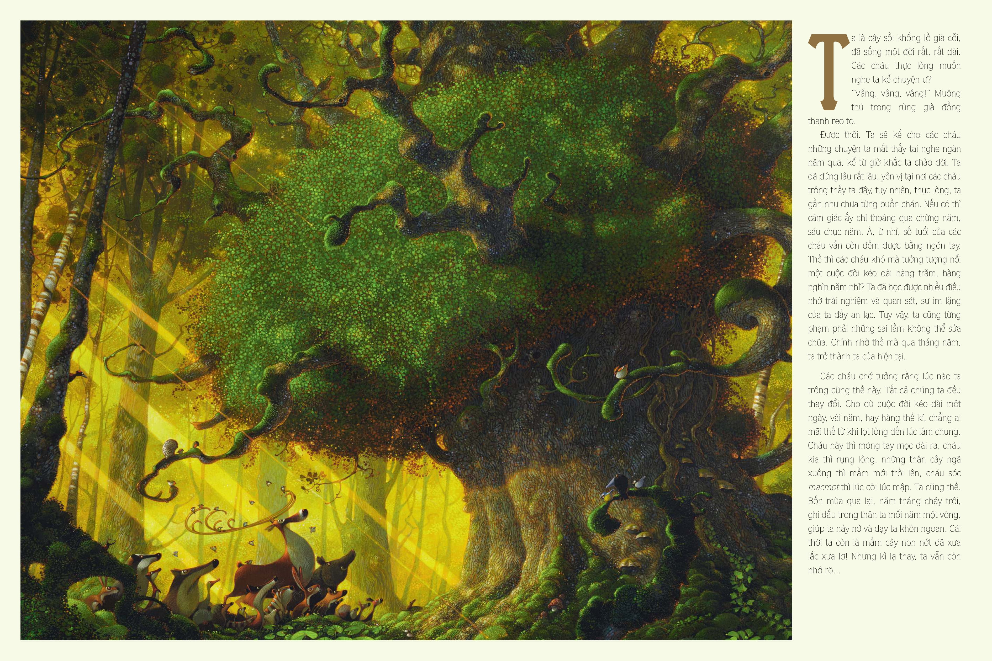 cổ tích dưới bóng sồi ngàn tuổi - Ảnh 4