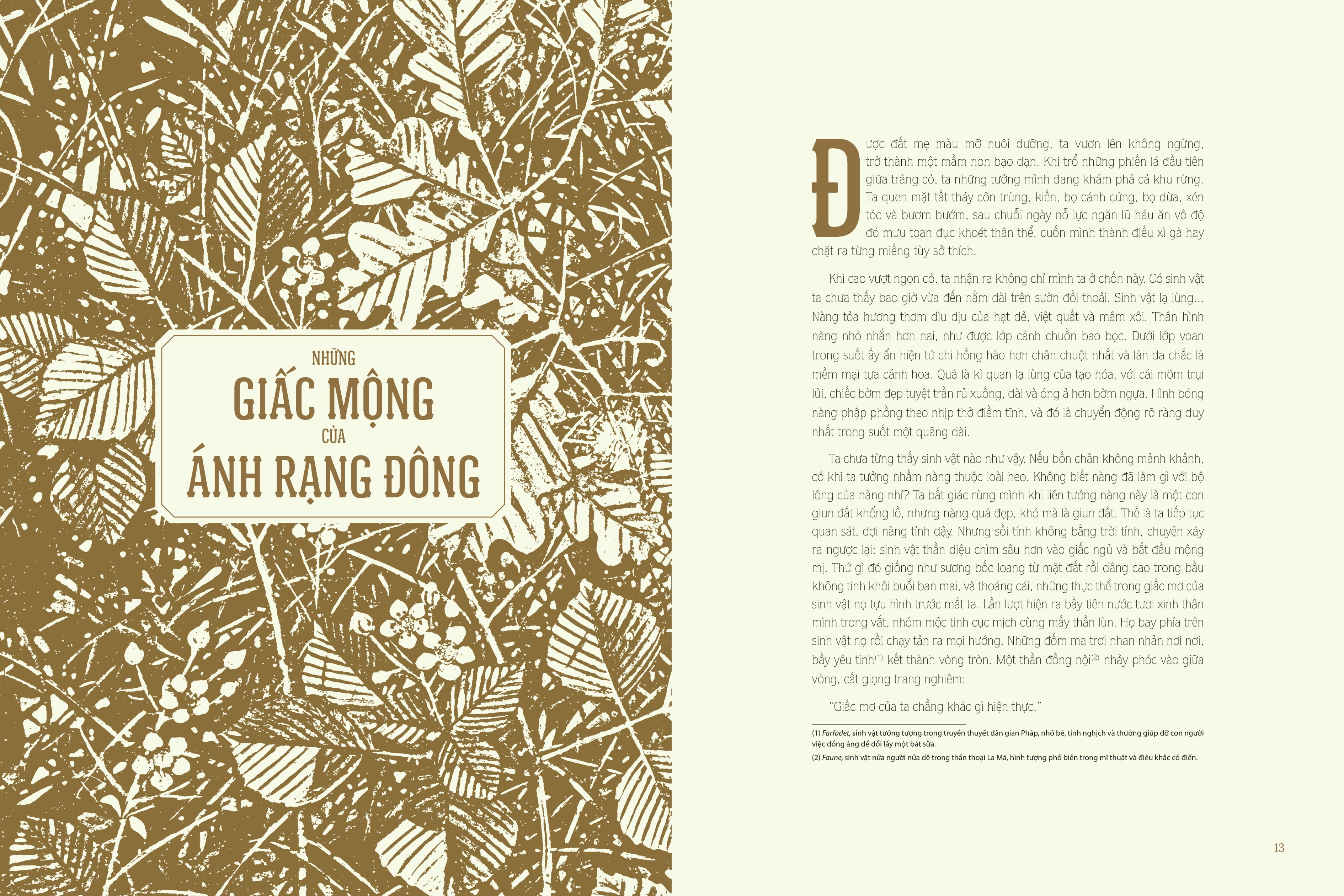 cổ tích dưới bóng sồi ngàn tuổi - Ảnh 7