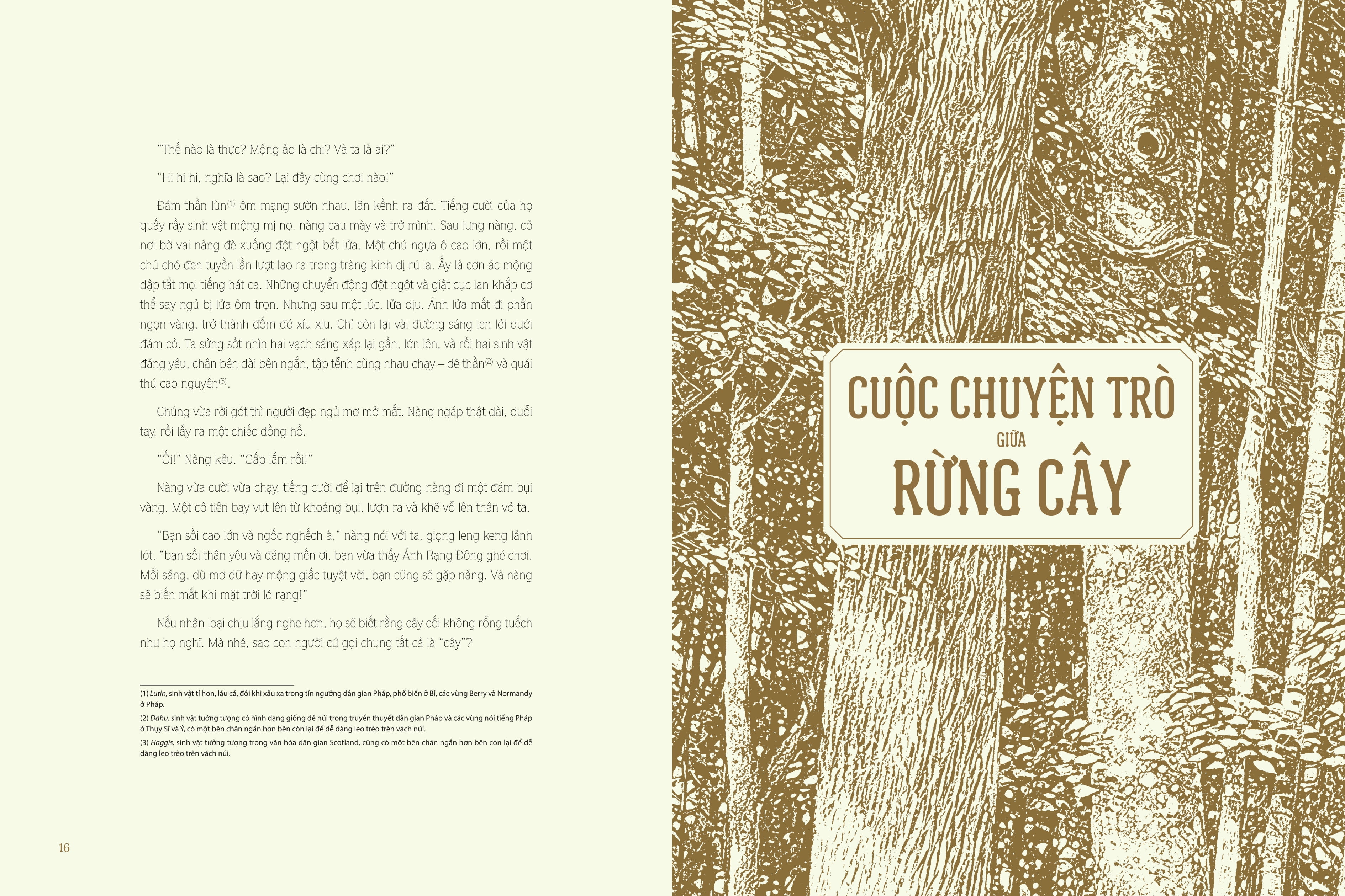 cổ tích dưới bóng sồi ngàn tuổi - Ảnh 9