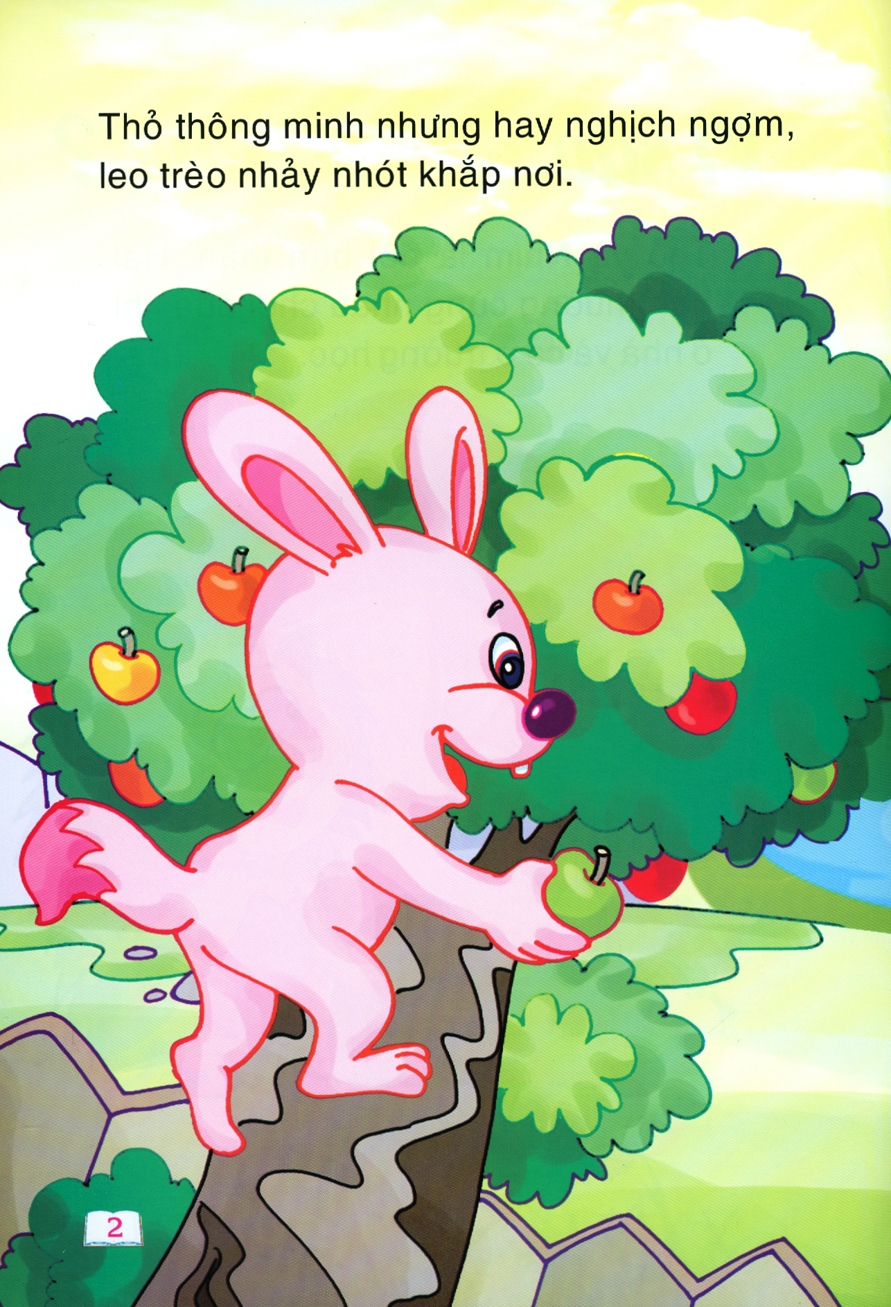 cổ tích trăng non - vì sao thỏ cụt đuôi - Ảnh 4