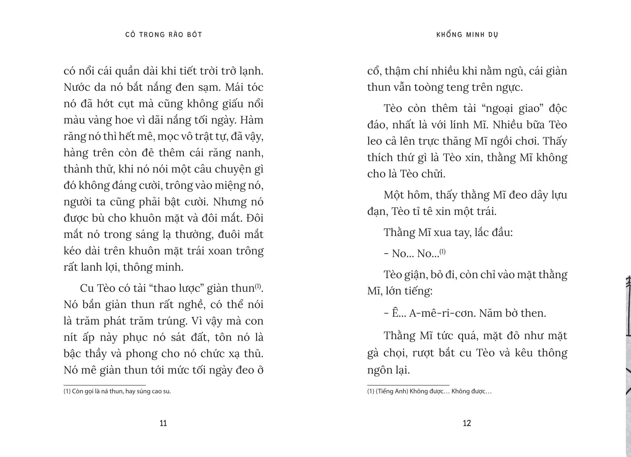 cỏ trong rào bót - Ảnh 4