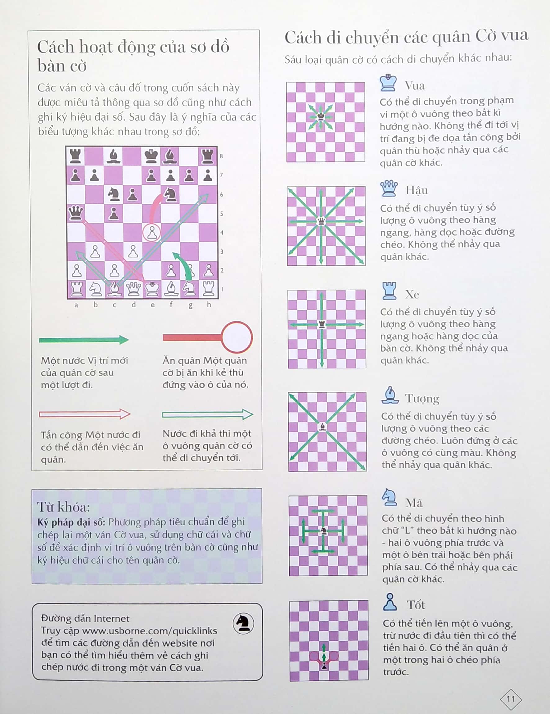 cờ vua - những bước đi đầu của kiện tướng (2022) - Ảnh 5