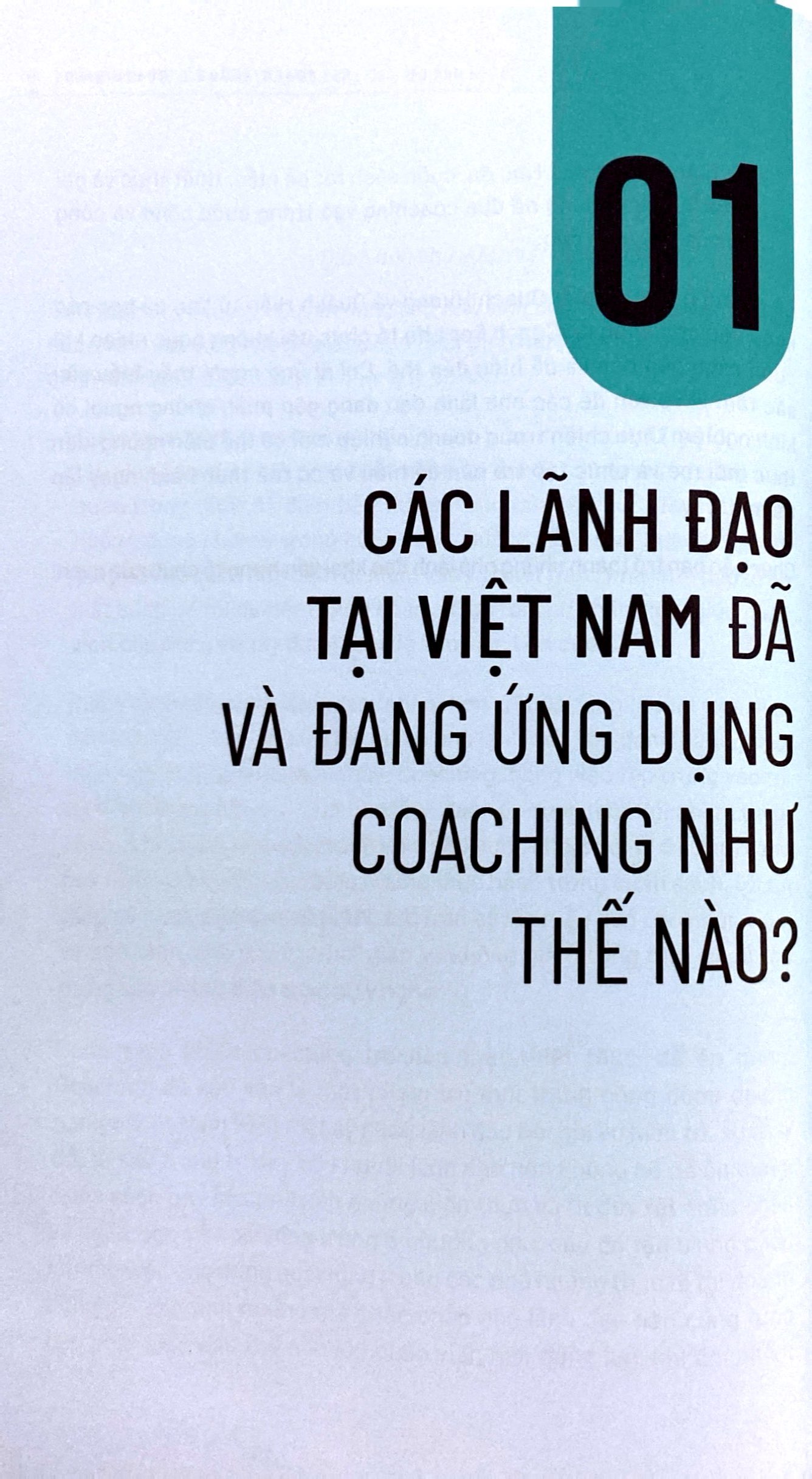 coaching - quyền năng của nhà lãnh đạo - Ảnh 8