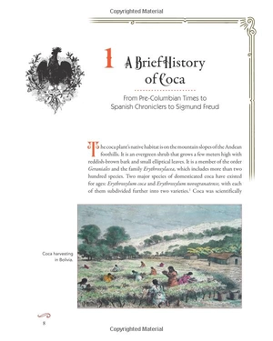 coca wine: angelo mariani's miraculous elixir and the birth of modern advertising - Ảnh 15