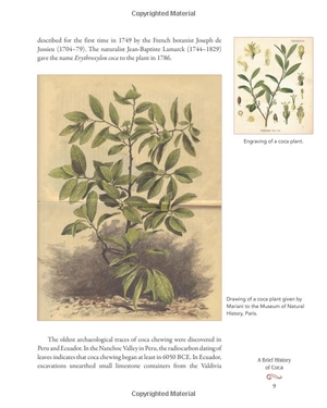 coca wine: angelo mariani's miraculous elixir and the birth of modern advertising - Ảnh 16