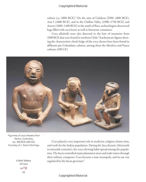 coca wine: angelo mariani's miraculous elixir and the birth of modern advertising - Ảnh 17