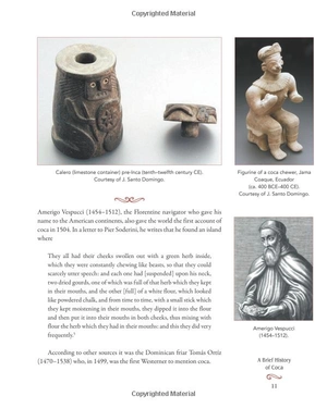 coca wine: angelo mariani's miraculous elixir and the birth of modern advertising - Ảnh 18