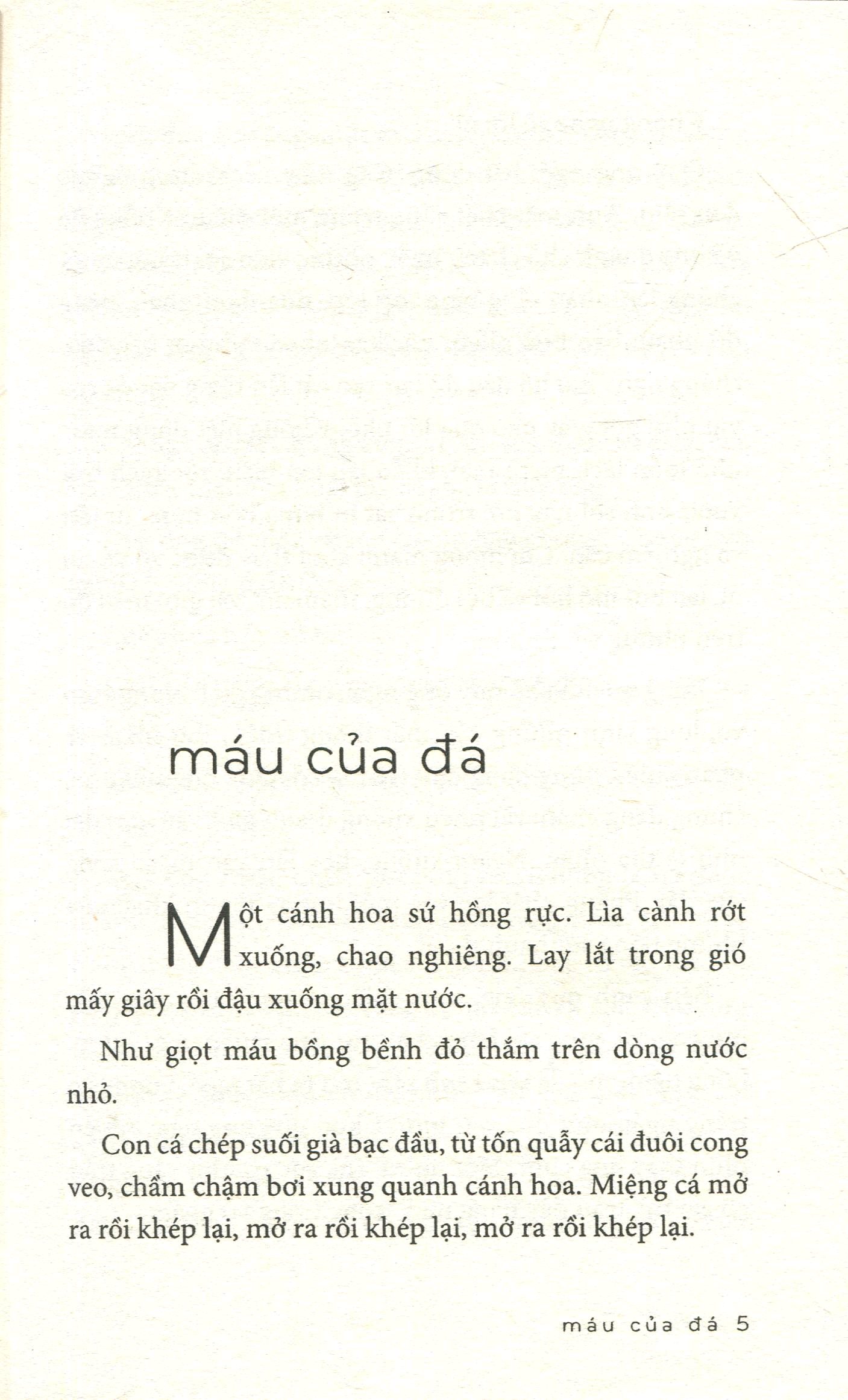 coctail café kem và mặt trời - Ảnh 4