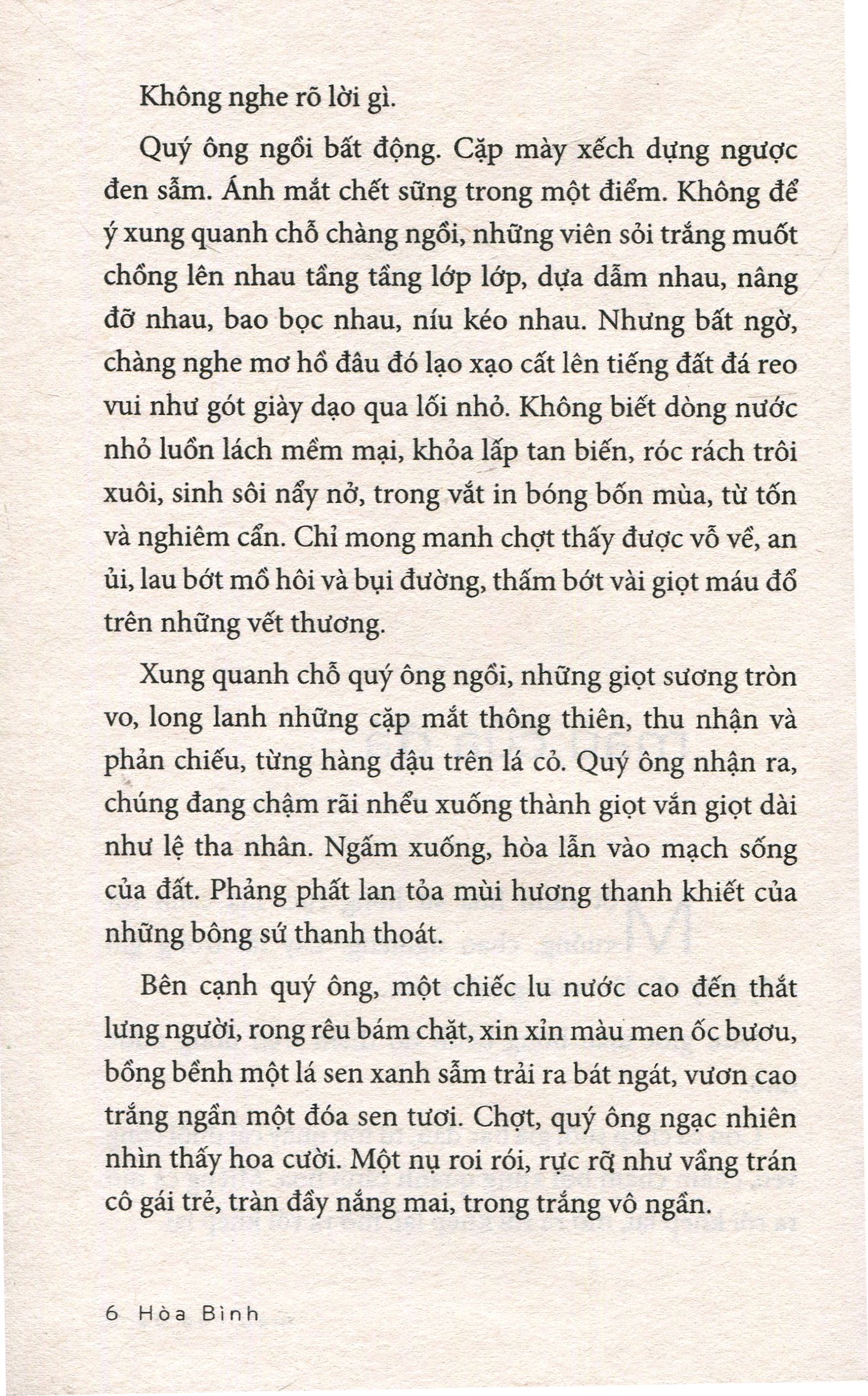 coctail café kem và mặt trời - Ảnh 5