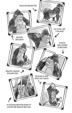 code name bananas - Ảnh 7