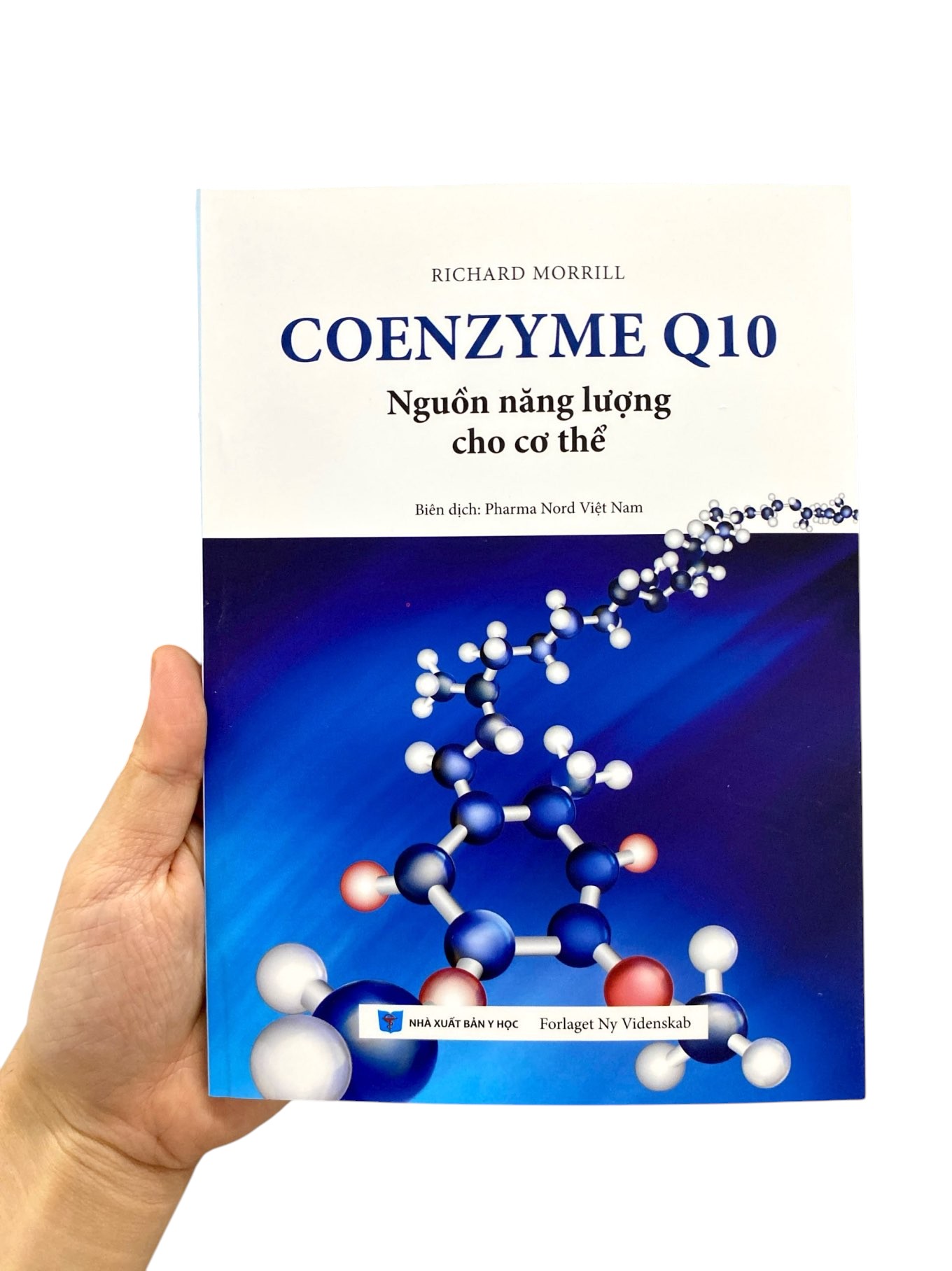 coenzyme q10 - nguồn năng lượng cho cơ thể - Ảnh 10