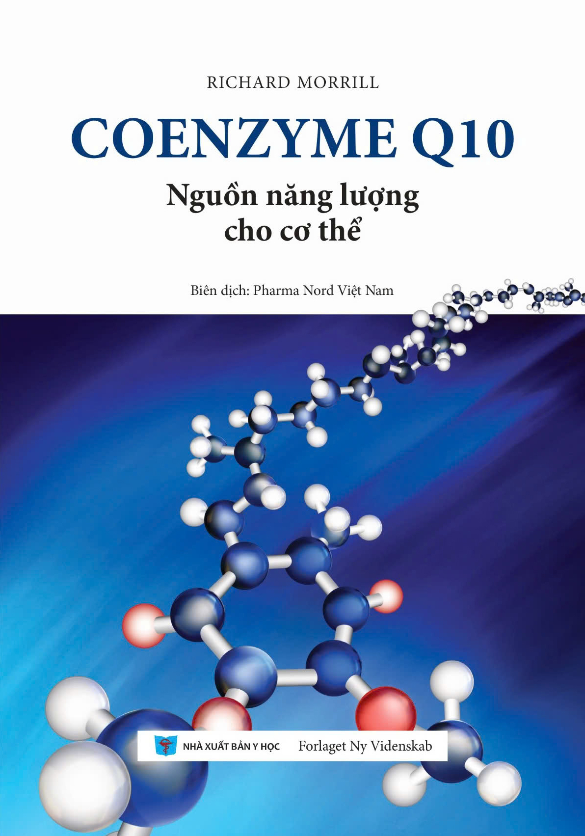 coenzyme q10 - nguồn năng lượng cho cơ thể - Ảnh 2