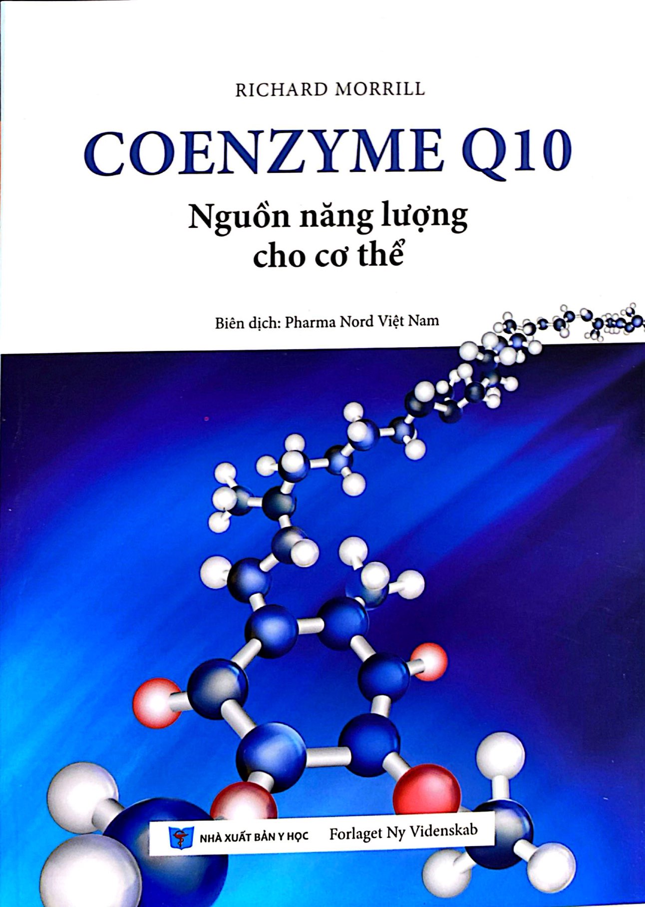 coenzyme q10 - nguồn năng lượng cho cơ thể - Ảnh 3