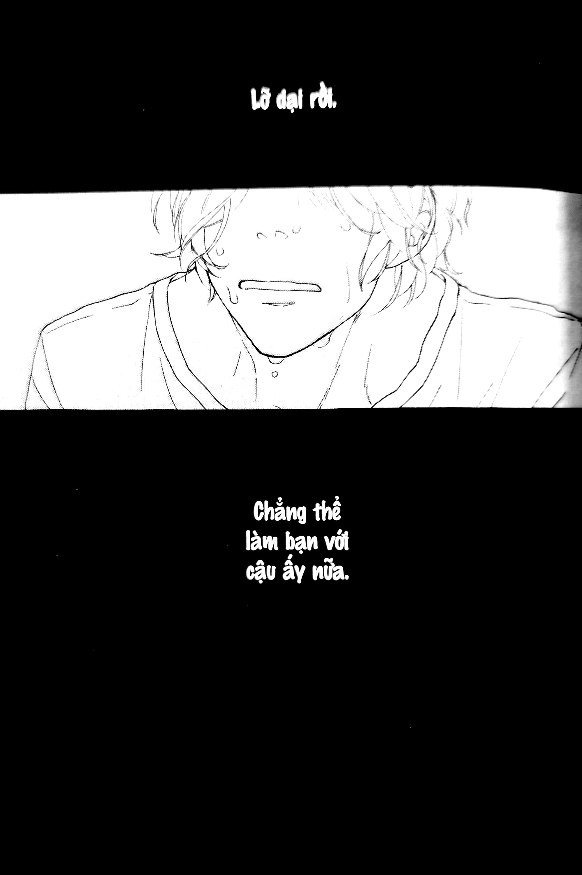 colorful line - Ảnh 5