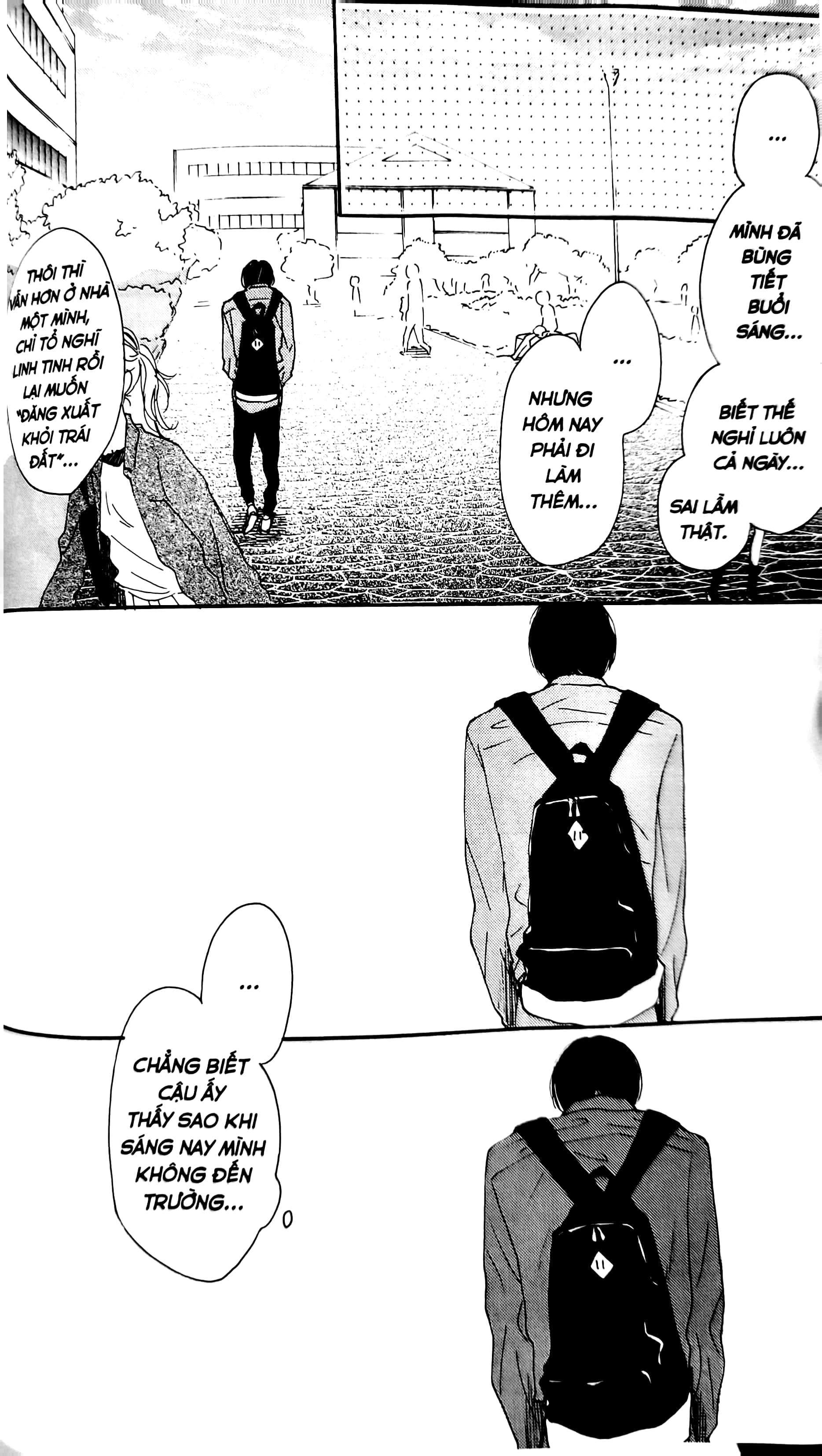 colorful line - Ảnh 7