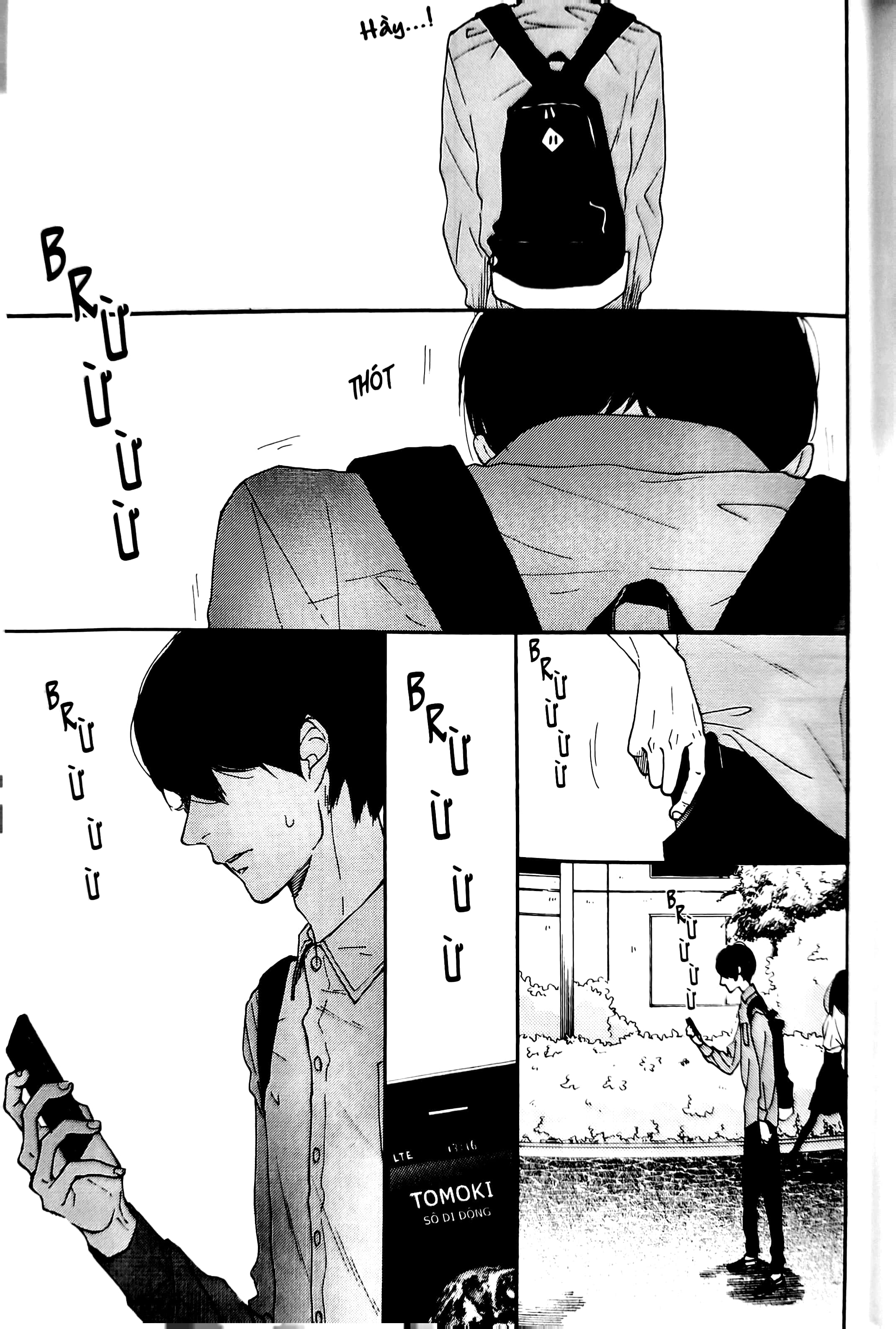 colorful line - Ảnh 8