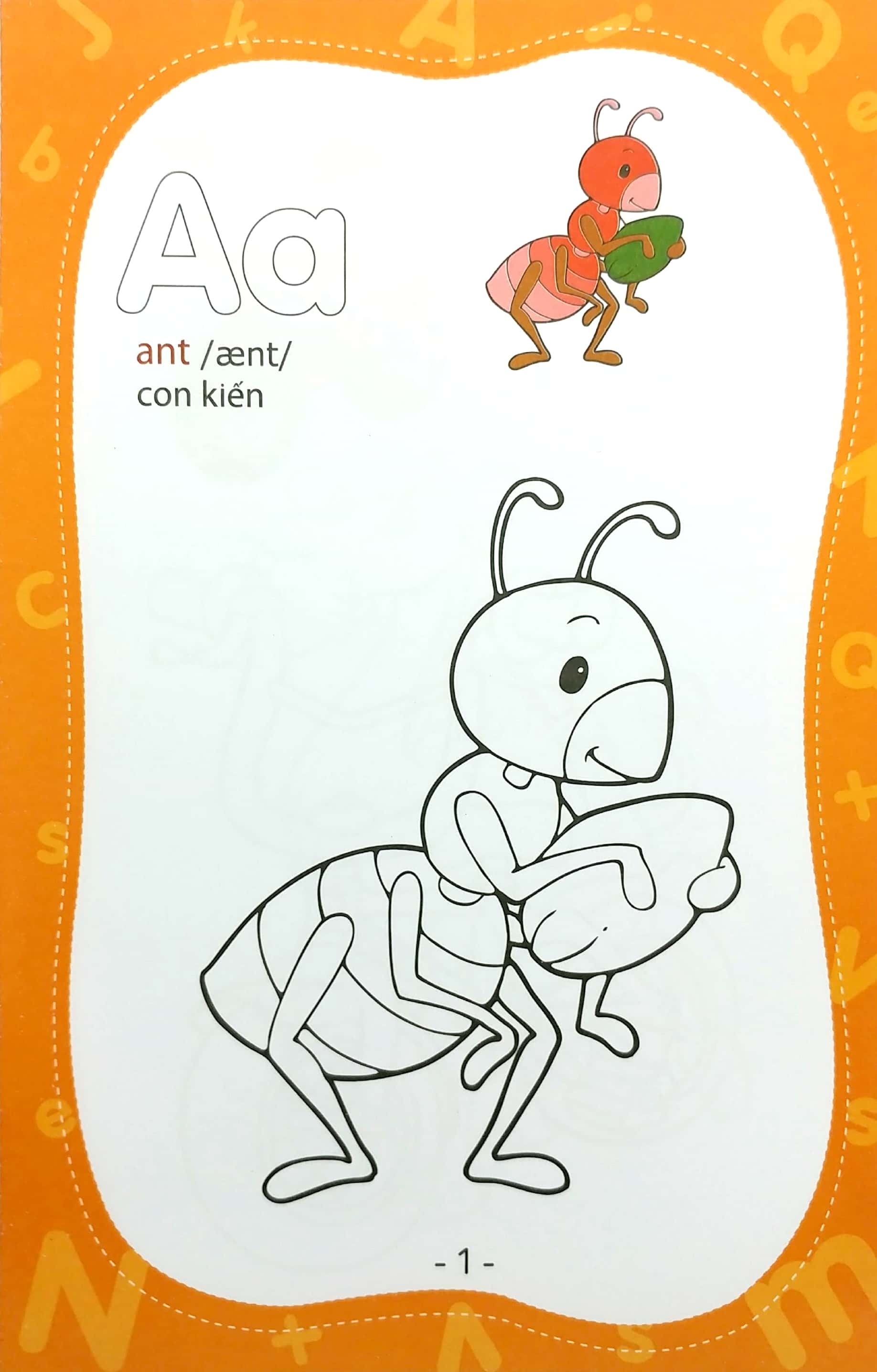 coloring book - tập tô màu - bảng chữ cái (tái bản) - Ảnh 3