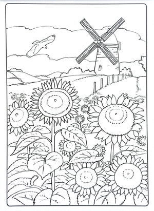 colour art - countryside - creative colouring - Ảnh 3