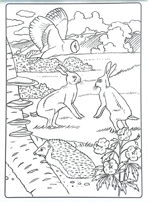 colour art - countryside - creative colouring - Ảnh 5