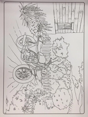 colour art - transport - Ảnh 5