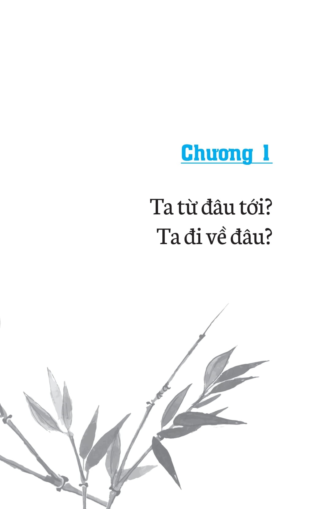 combo sách con đường chuyển hoá + không diệt không sinh đừng sợ hãi (bộ 2 cuốn) - Ảnh 9
