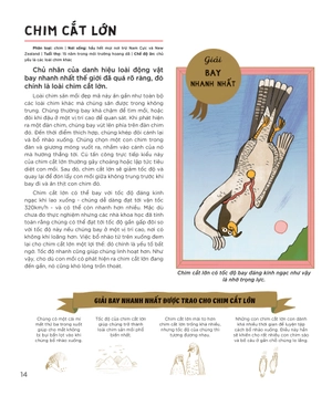 combo sách động vật có tầm ảnh hưởng - nguồn cảm hứng cho những công trình kiến trúc của loài người (bộ 3 cuốn) - Ảnh 4