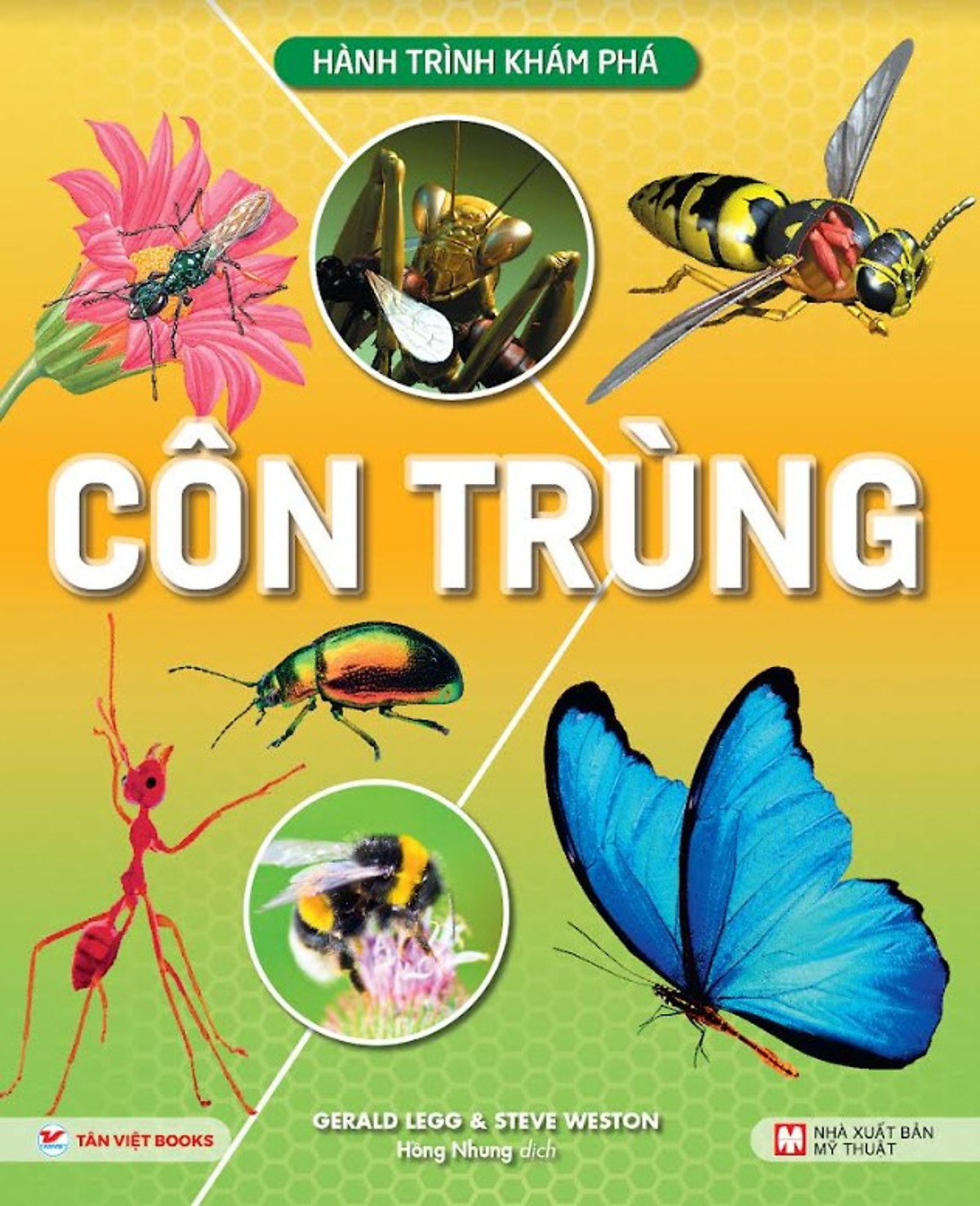 combo sách hành trình khám phá - bìa cứng (bộ 5 cuốn) - Ảnh 6