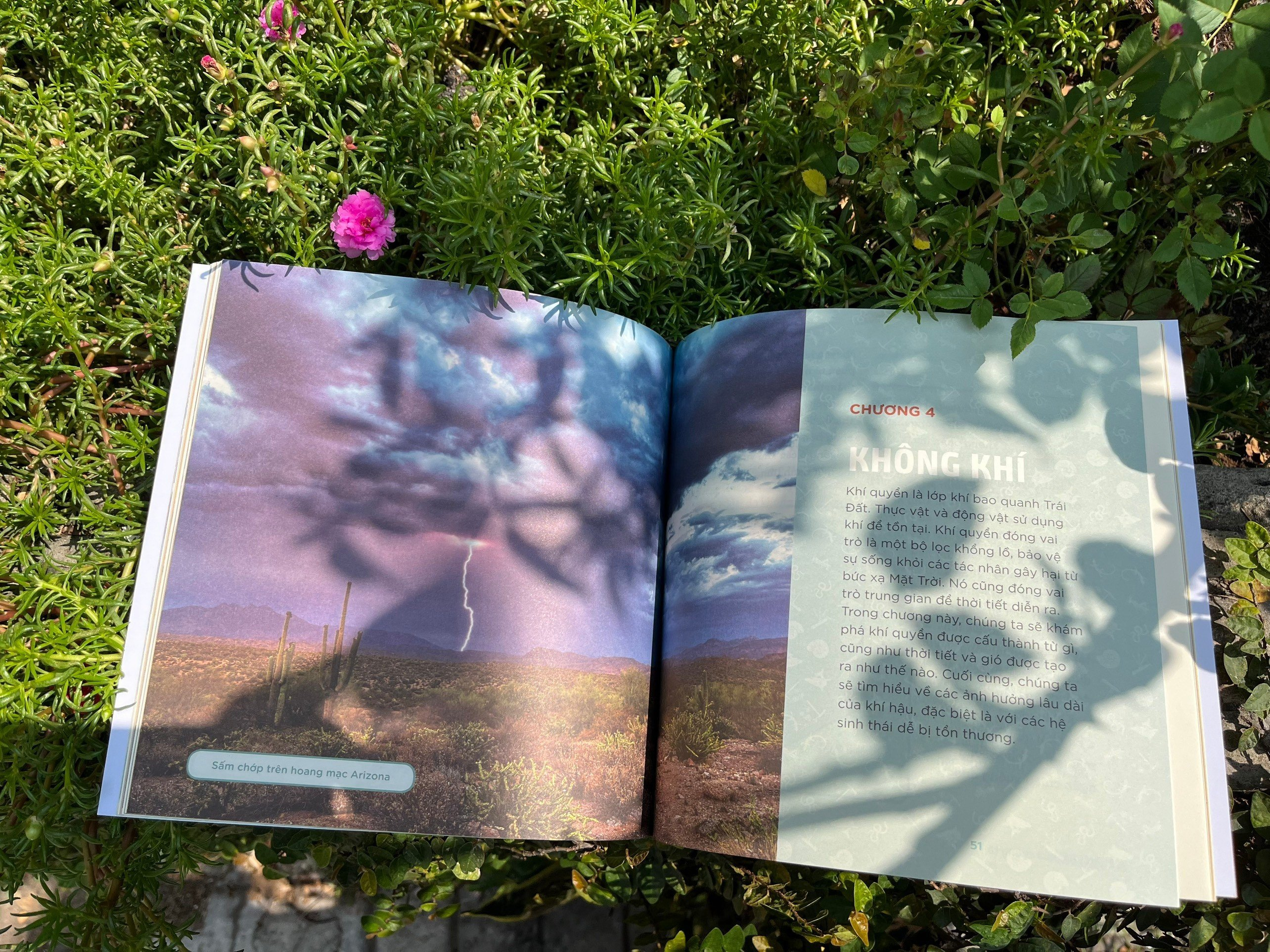 combo sách nhà khoa học nhí - tìm hiểu địa chất + trái đất của chúng ta (bộ 2 cuốn) - Ảnh 8