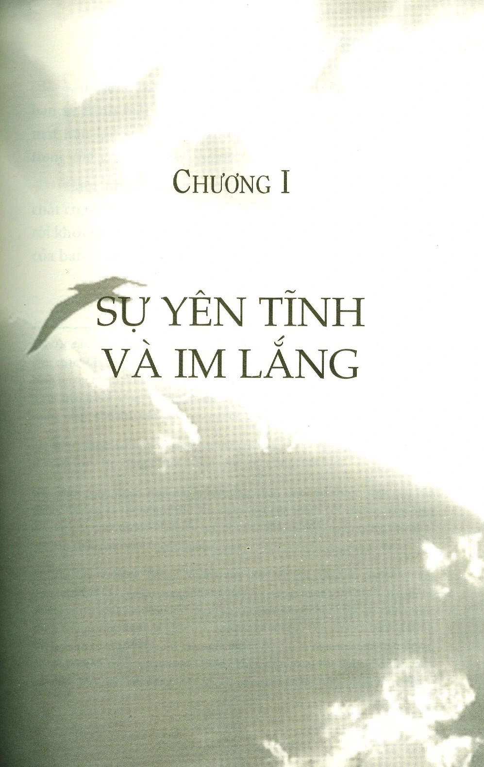 combo sách sức mạnh của tĩnh lặng + sức mạnh của ngôn từ + sức mạnh của sự trầm lắng (bộ 3 cuốn) - Ảnh 14