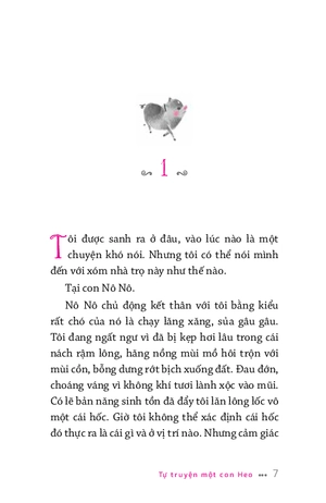 combo sách văn học thiếu nhi (bộ 4 cuốn) - Ảnh 10