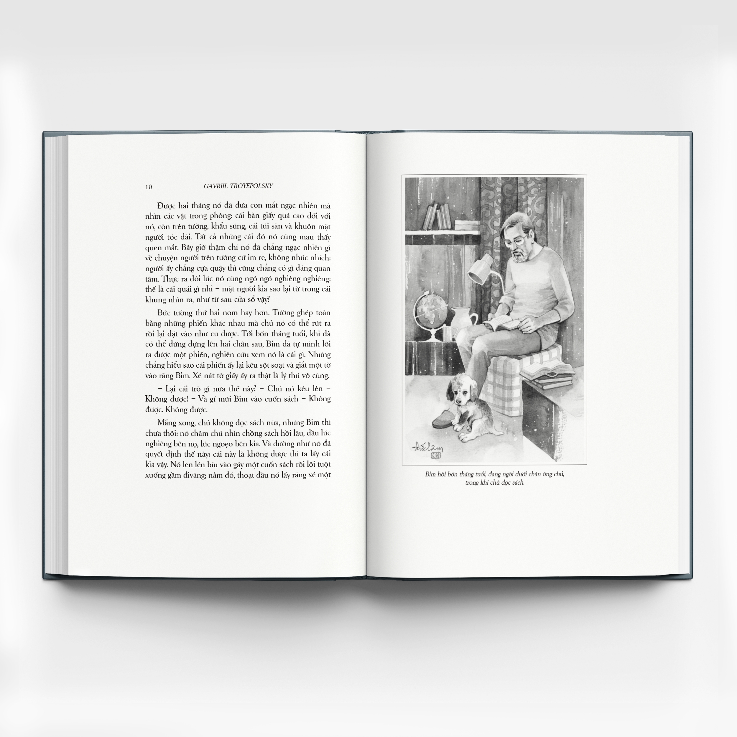 con bim trắng tai đen - Ảnh 7