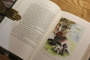 con bim trắng tai đen - ấn bản giới hạn - bìa da - Ảnh 9