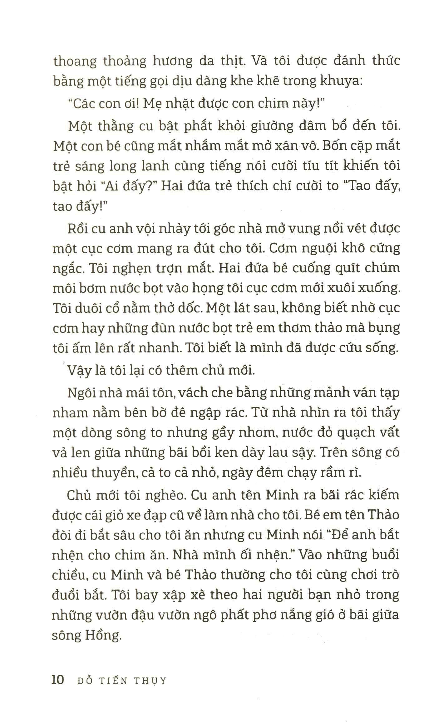 con chim joong bay từ a đến z - Ảnh 6