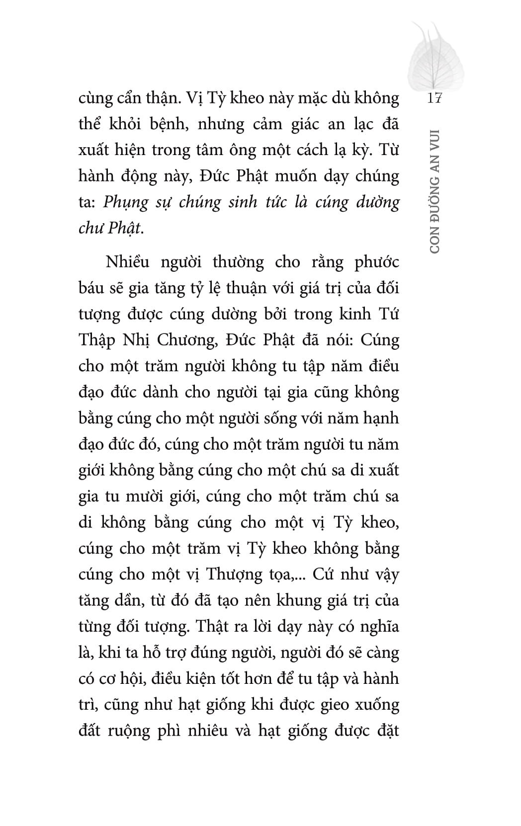 con đường an vui - Ảnh 10