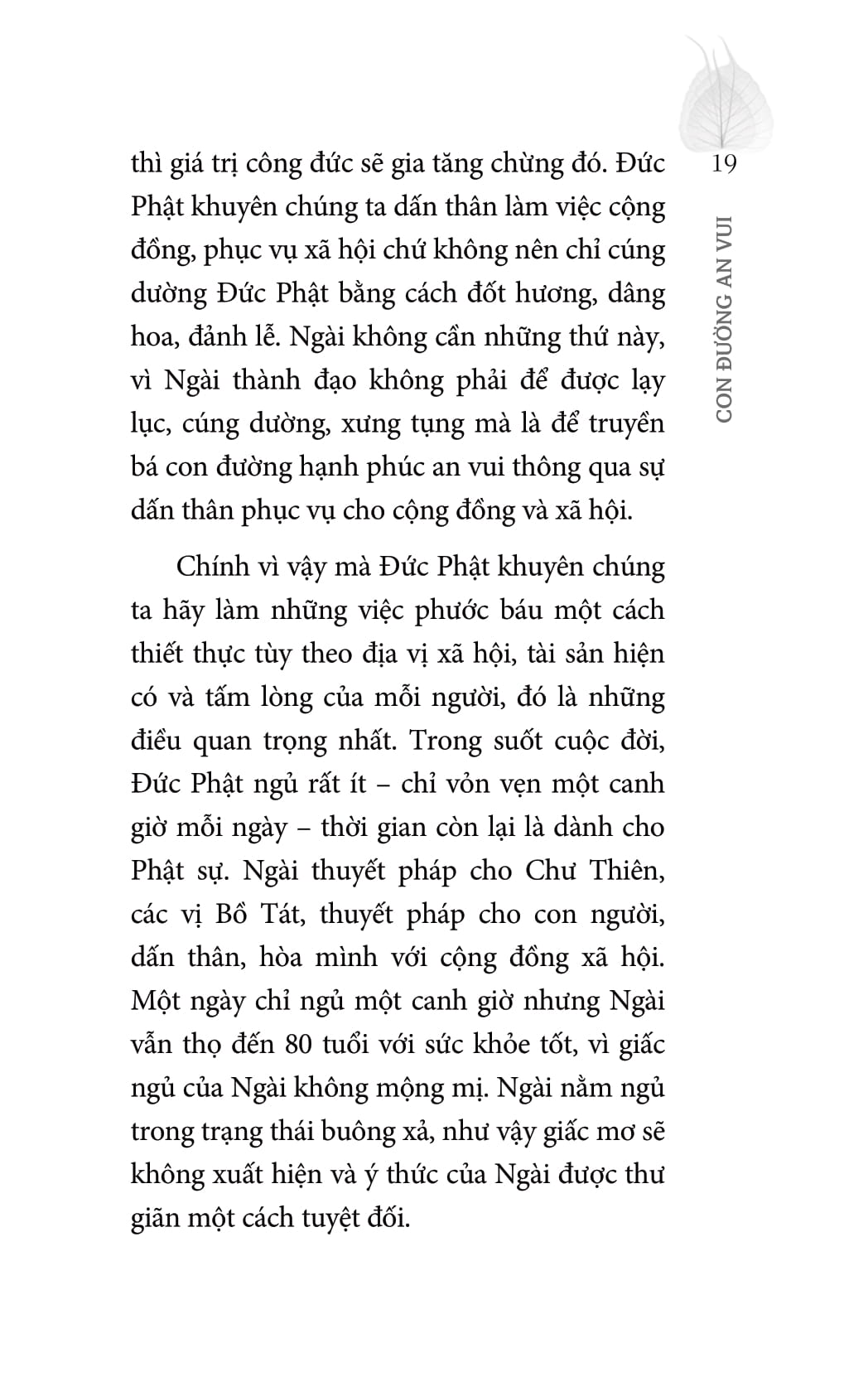 con đường an vui - Ảnh 12