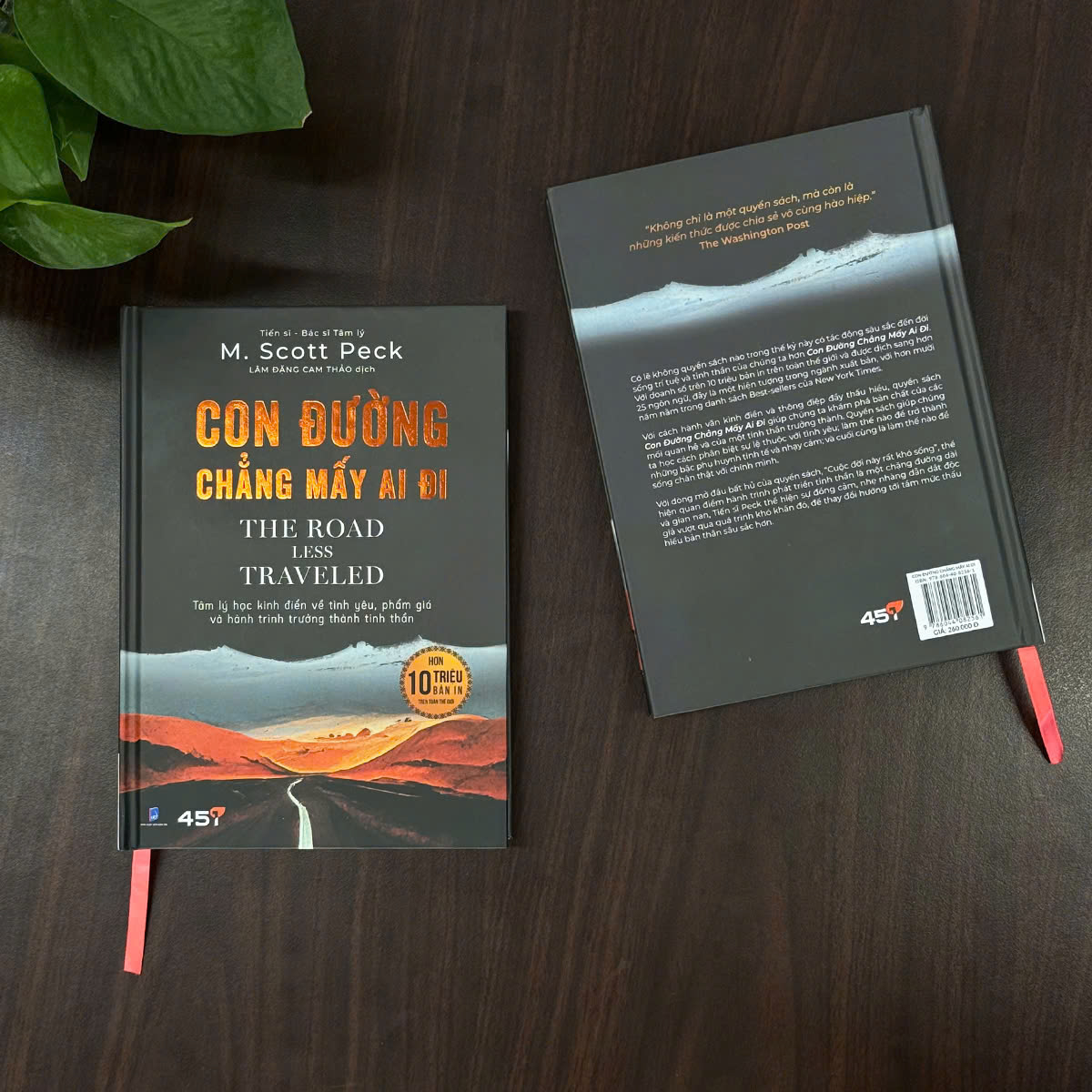 con đường chẳng mấy ai đi - the road less traveled - Ảnh 8