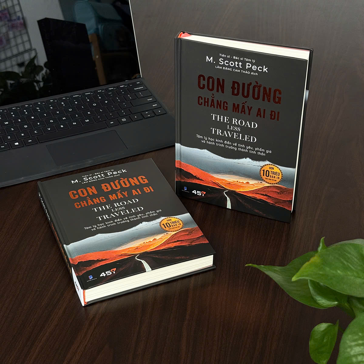 con đường chẳng mấy ai đi - the road less traveled - Ảnh 9