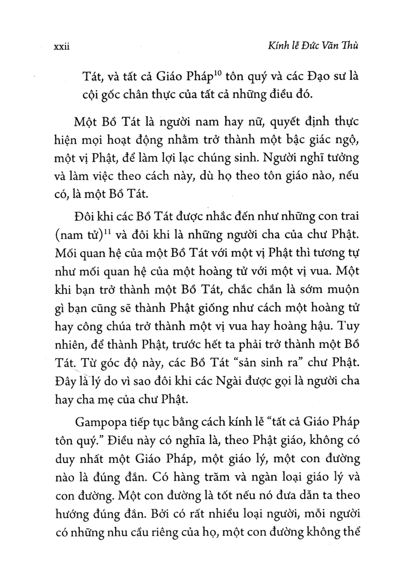 con đường dẫn đến phật quả - Ảnh 7