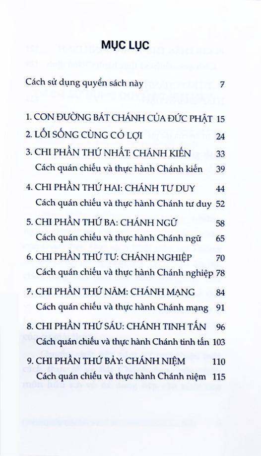 Con Đường Đi Đến Giải Thoát - Bát Chánh Đạo Của Đức Phật - Ảnh 3
