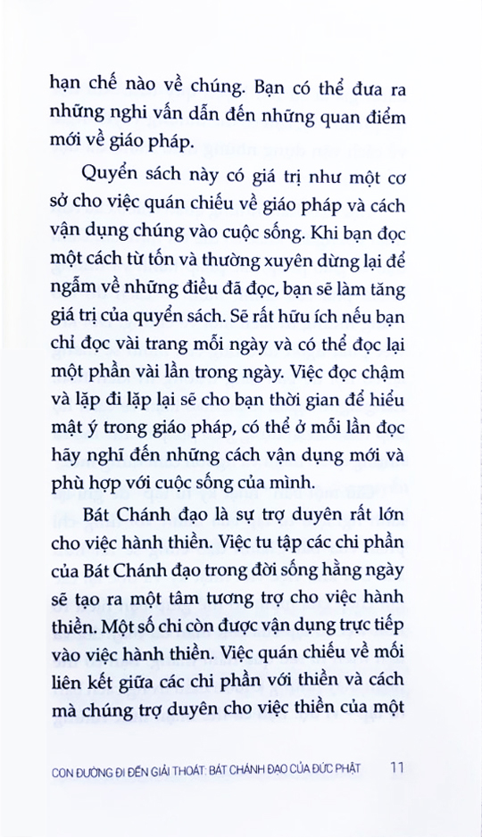 Con Đường Đi Đến Giải Thoát - Bát Chánh Đạo Của Đức Phật - Ảnh 5