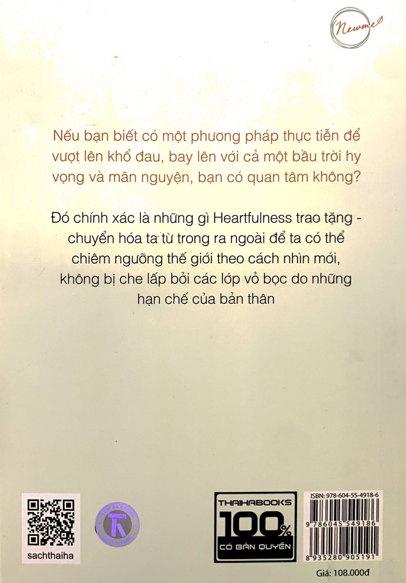 con đường heartfulness - tim thiền - chuyển hóa tâm hồn - Ảnh 8