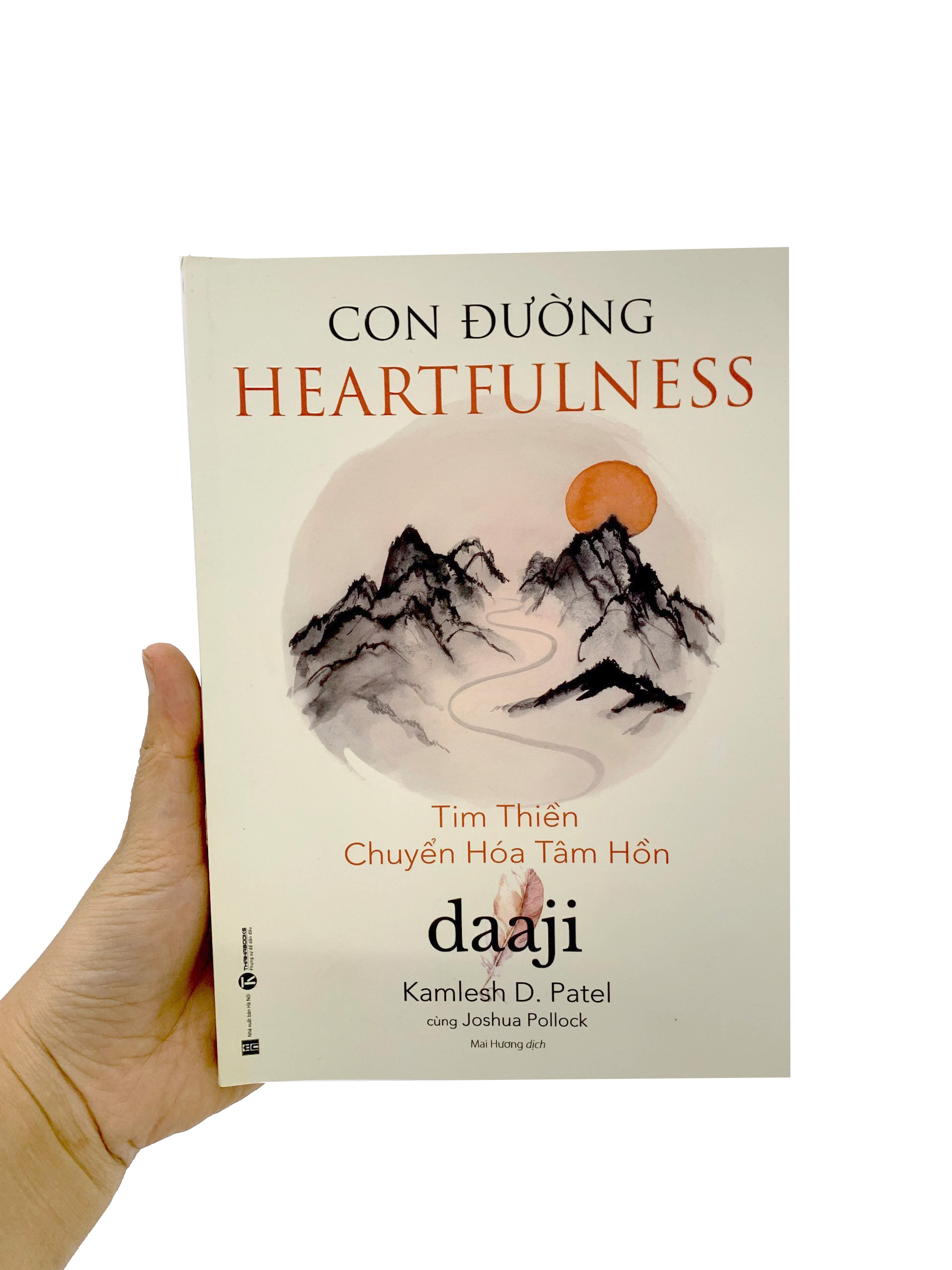 con đường heartfulness - tim thiền - chuyển hóa tâm hồn - Ảnh 9
