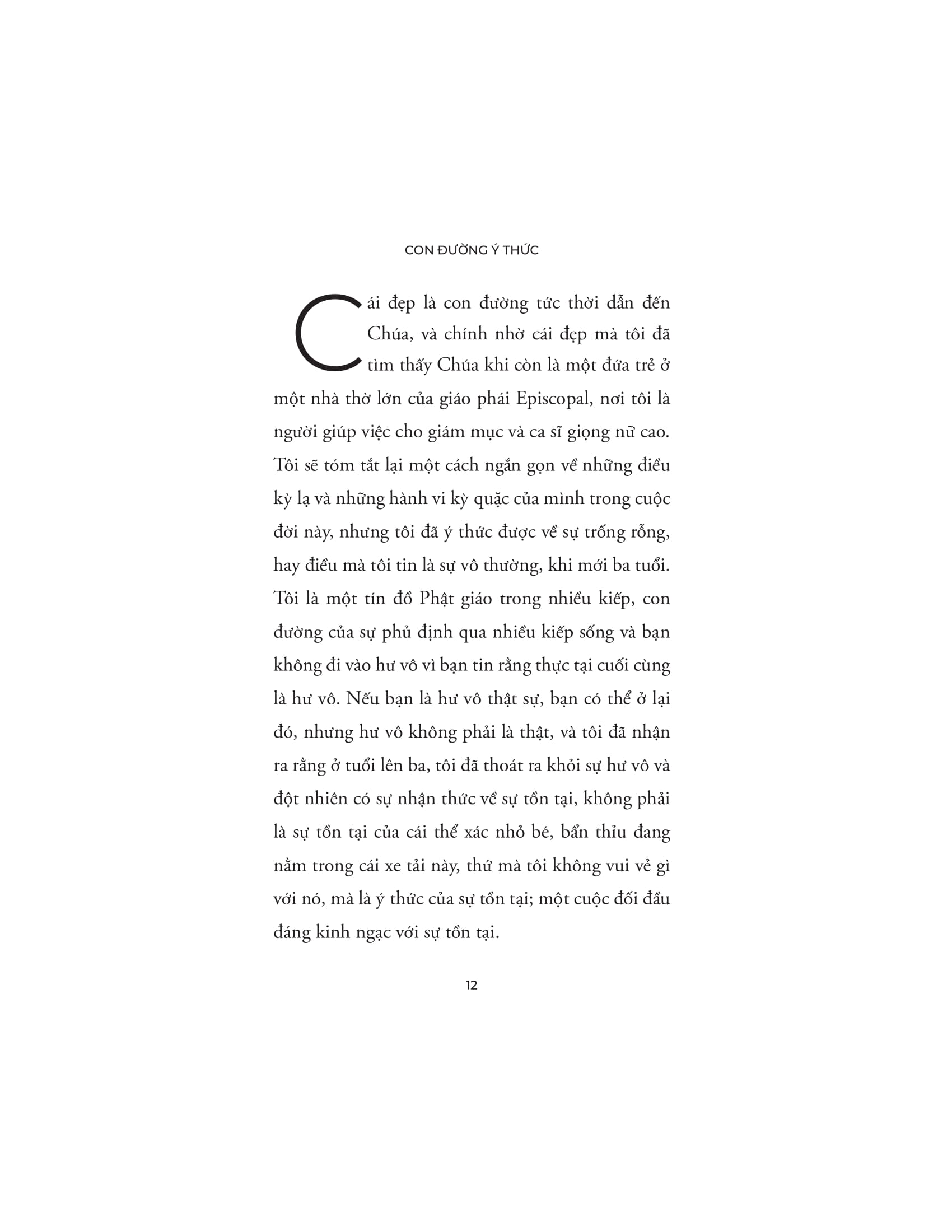 Con Đường Ý Thức - Hành Trình Khai Phá Bản Ngã - Từ Giác Ngộ Đến Tự Do Nội Tại - Ảnh 10