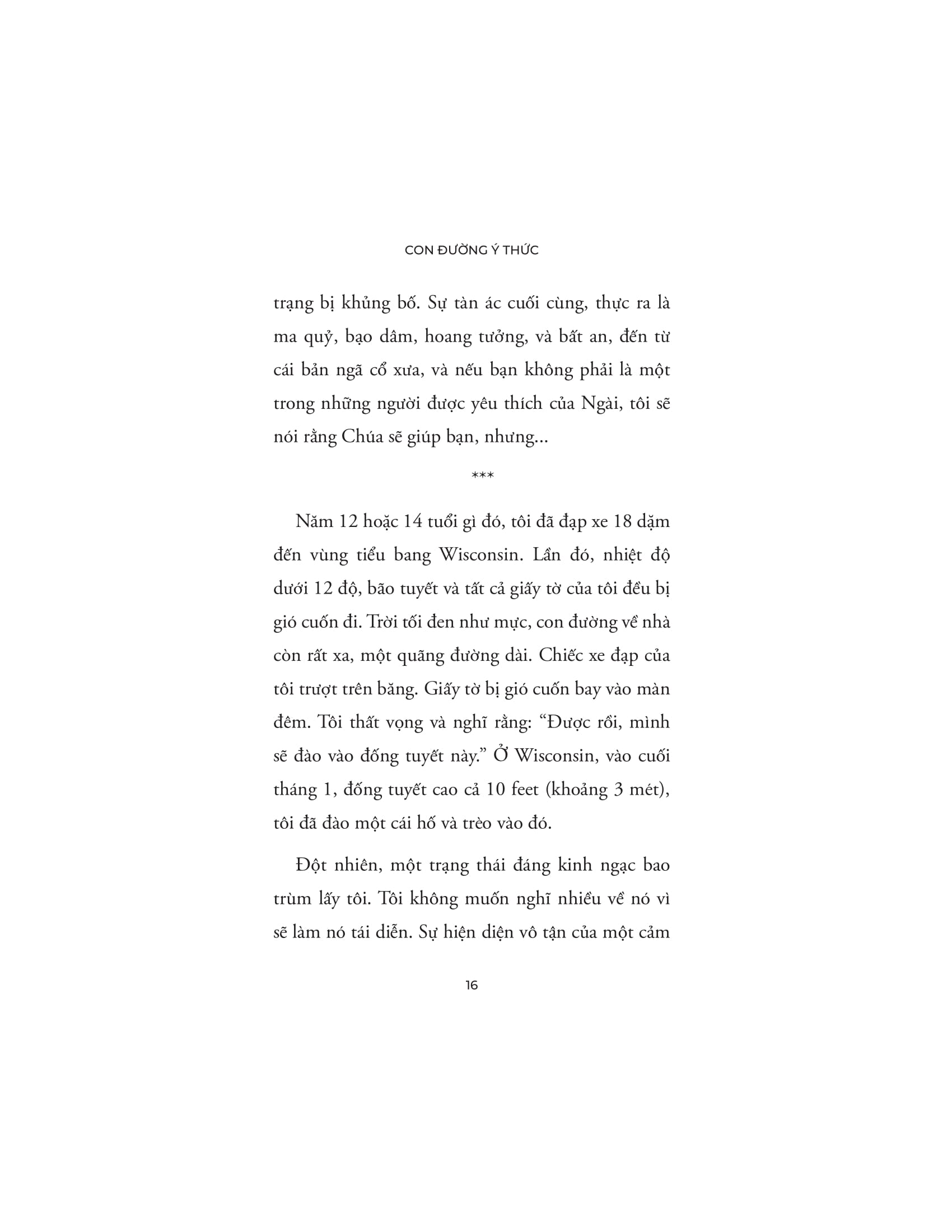 Con Đường Ý Thức - Hành Trình Khai Phá Bản Ngã - Từ Giác Ngộ Đến Tự Do Nội Tại - Ảnh 14